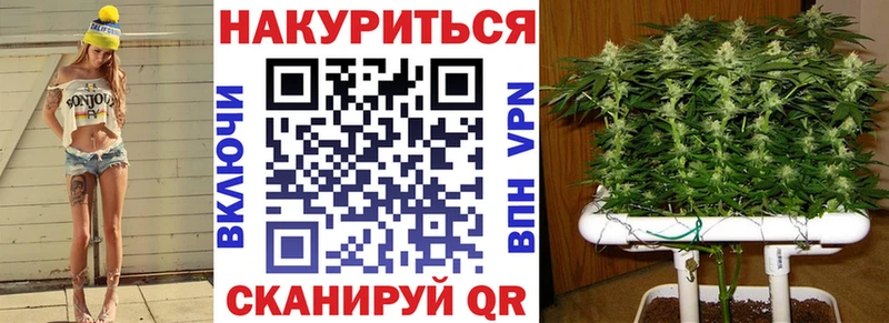 Где найти наркотики Димитровград ГЕРОИН  Меф мяу мяу  Alpha-PVP  ГАШИШ  Конопля  АМФЕТАМИН 