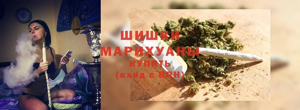 spice Вяземский