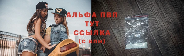 spice Вяземский