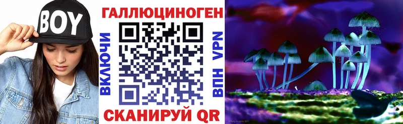Галлюциногенные грибы ЛСД  omg маркетплейс  Димитровград 
