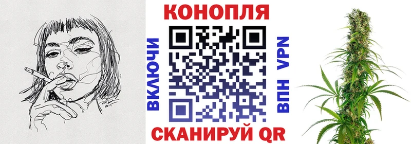 Марихуана марихуана  Димитровград 